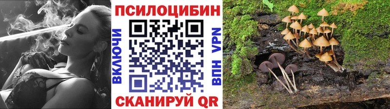 где найти наркотики omg онион Галлюциногенные грибы мухоморы Игра